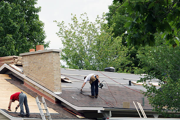 Roof Gutter Cleaning in Lee Acres, NM